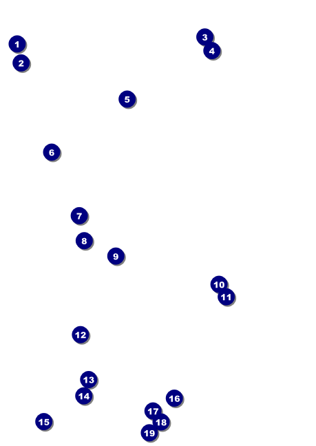 All Purpose Circle Club Flyer Front Field Markers