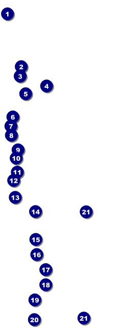 Leukemia Raffle Ticket Front Field Markers