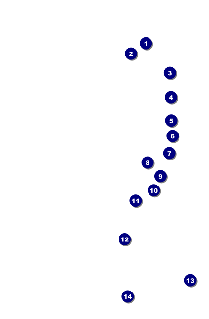Retro Sunburst Drink Ticket Front Field Markers