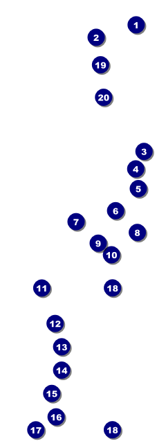 Lions Club International Circles Raffle Ticket 2 Front Field Markers