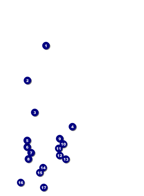 Steak & Beer Invitation Front Field Markers