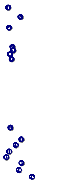 Dinosaur Illustrated VIP Pass Front Field Markers
