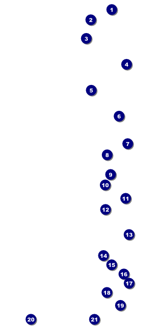 All Purpose Bright VIP Pass Front Field Markers