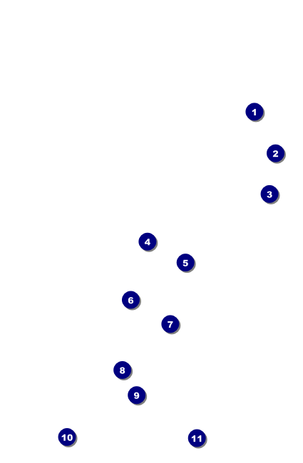 Spanish Festival Drink Ticket Front Field Markers