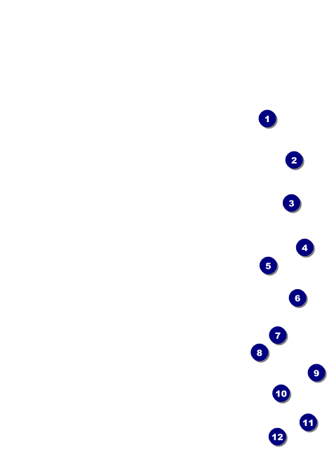 Spanish Festival Invitation Front Field Markers