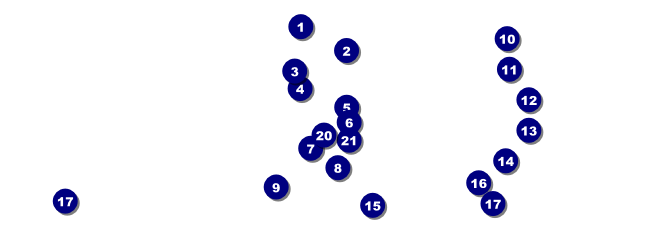 All Purpose 6 Prize Raffle Ticket Front Field Markers