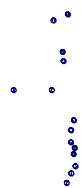 Track and Field VIP Event Badge Large Front Field Markers