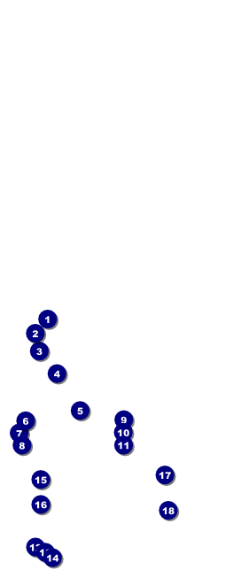 Banjo Table Tent Front Field Markers