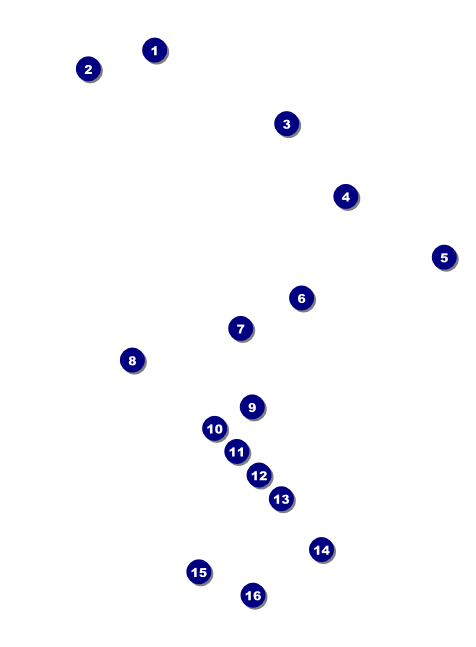 All Purpose Trees Black & White Invitation Front Field Markers