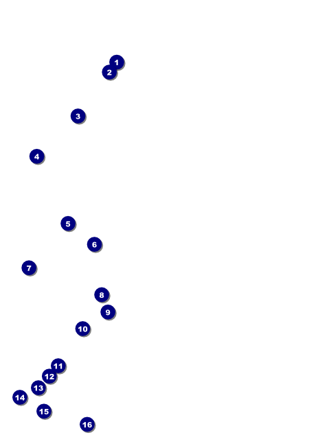 Classic Black Pinstripe Flyer Front Field Markers