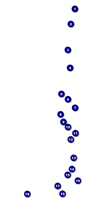 Black Friday Sale VIP Pass Front Field Markers