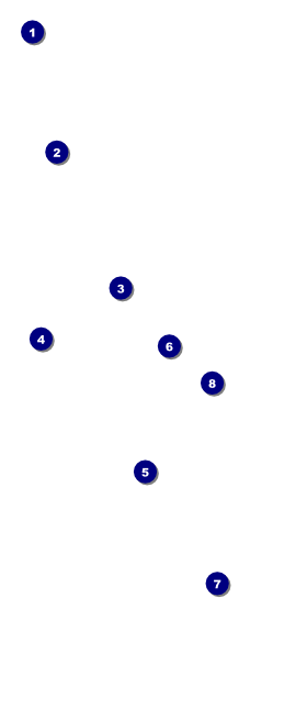Spaghetti Ingredients VIP Pass Front Field Markers