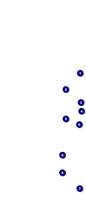 Dandelion Hang Tag Front Field Markers