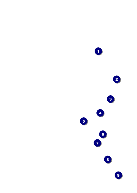 Bow Tie Postcard Mailer Front Field Markers