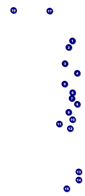 Soccer stadium VIP Event Badge Large VIP Event Badge Large Front Field Markers