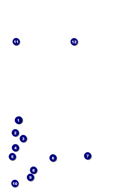 Your Photo Concert VIP Event Badge Small VIP Event Badge Small Front Field Markers