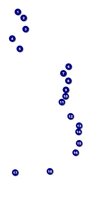 Funky Bottles VIP Event Badge Large Front Field Markers