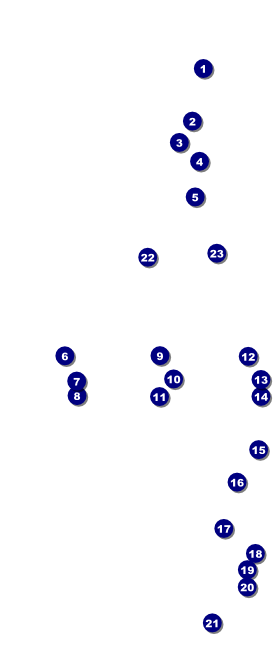 Hippie VIP Event Badge Large Front Field Markers