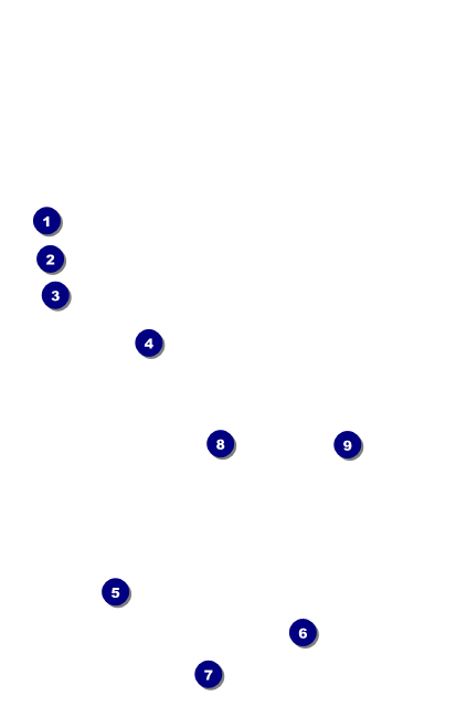 New York VIP Event Badge Small Front Field Markers