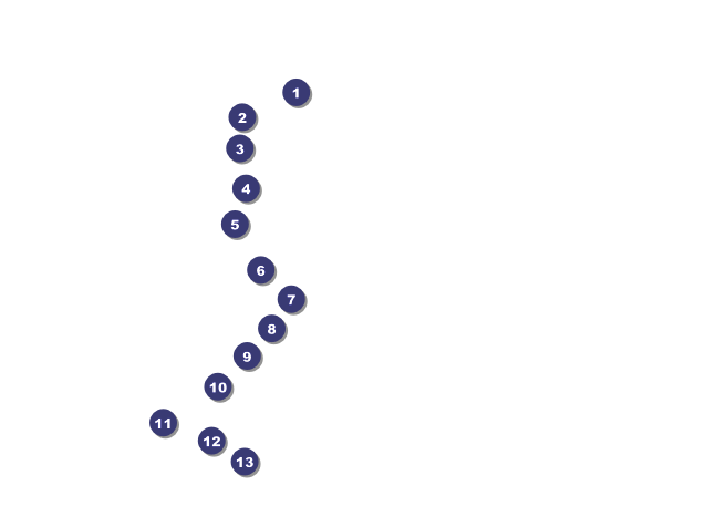 Stars and Stripes Invitation Front Field Markers