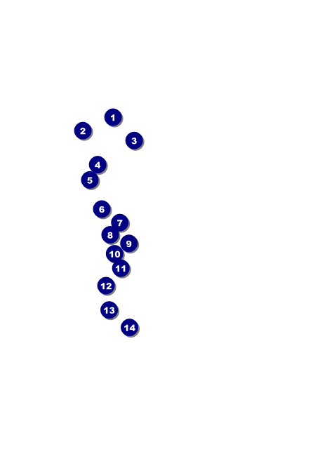 Bar Mitzvah Black & White Invitation Front Field Markers