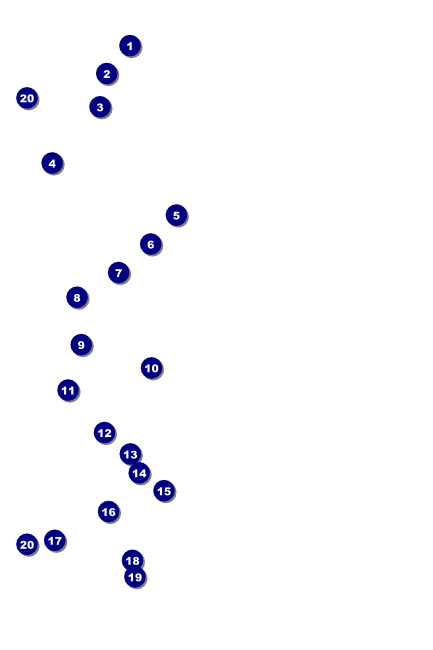 Year Poster (Black) Front Field Markers