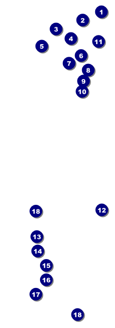 Louisville Raffle Ticket Front Field Markers