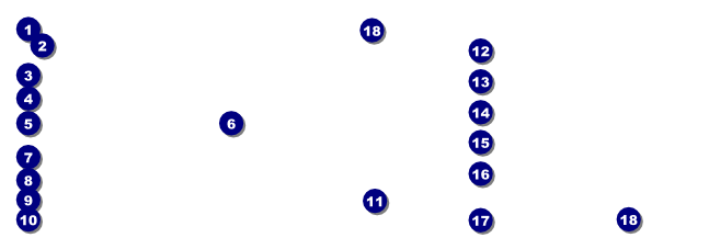 White Ribbon Photo Raffle Ticket Front Field Markers
