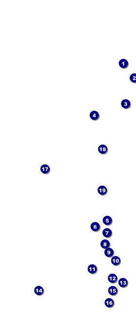Americana VIP Pass Front Field Markers