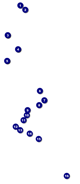 Whimsical Paris VIP Pass Front Field Markers