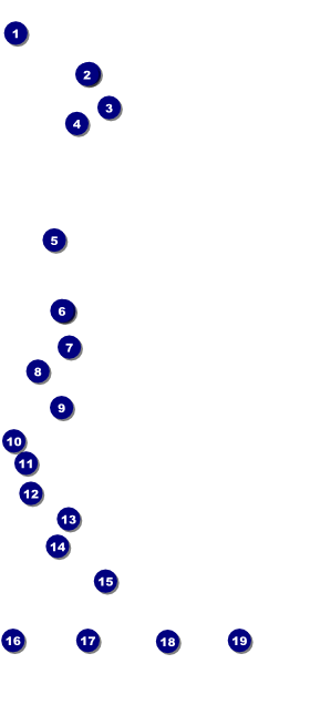 Carnival VIP Pass Front Field Markers