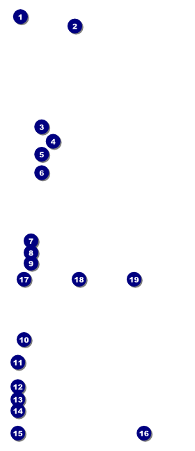 Birthday Party Geometric VIP Pass Front Field Markers