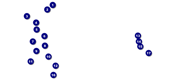 VIP Ticket Mixed Martial Arts Front Field Markers