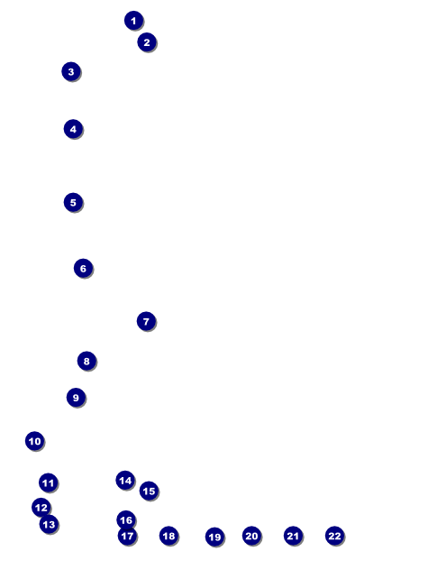 Music Festival Logo Flyer Front Field Markers