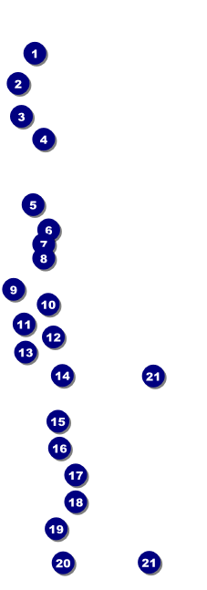 All Purpose Hex Raffle Ticket Front Field Markers