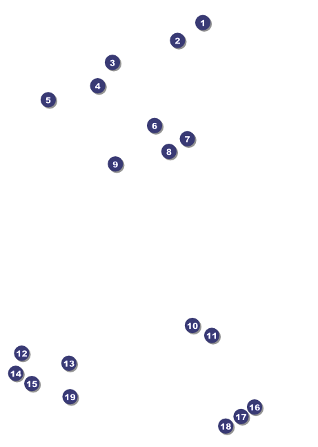 Winter Bird Club Flyer Front Field Markers